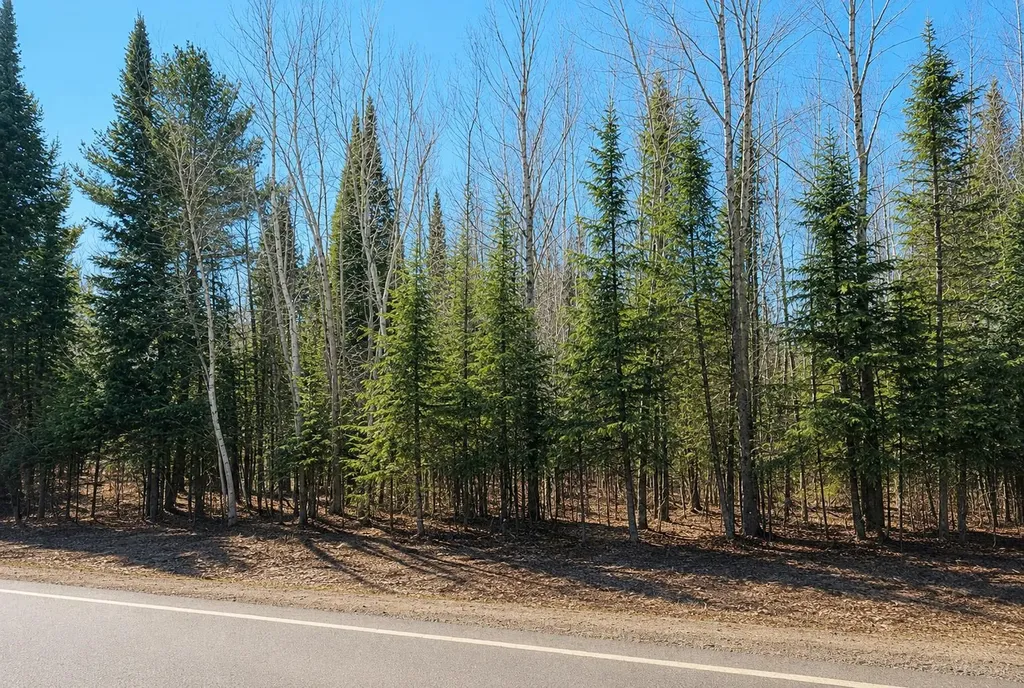 A Garfield Road Paradise Township MI 49649