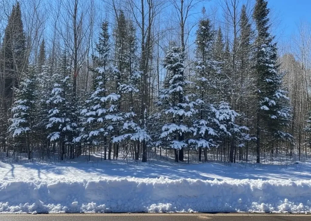A Garfield Road Paradise Township MI 49649
