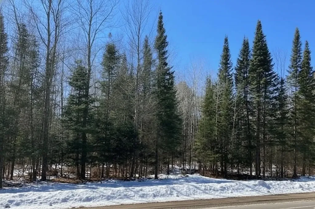 A Garfield Road Paradise Township MI 49649