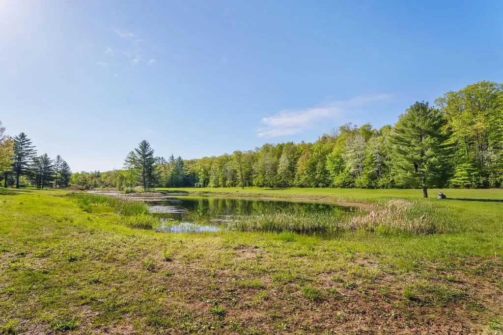 0 W M-55 South Branch Township MI 49689