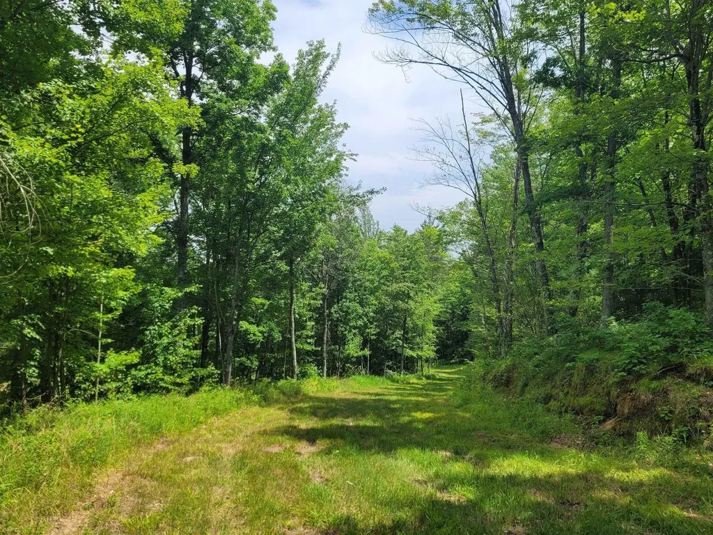 0 W M-55 South Branch Township MI 49689