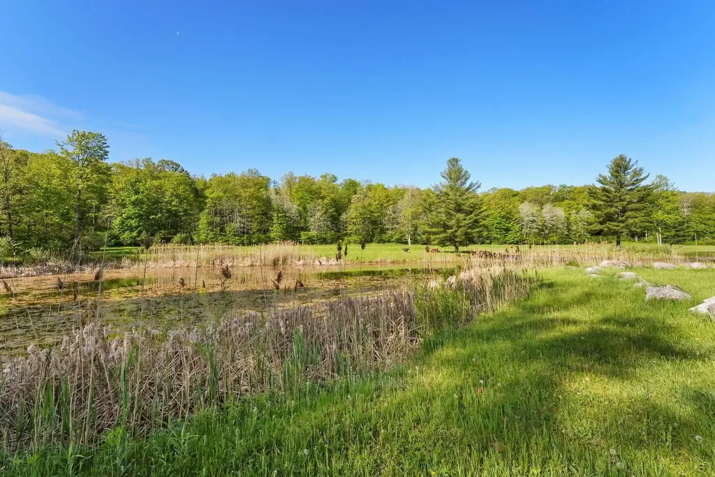 0 W M-55 South Branch Township MI 49689
