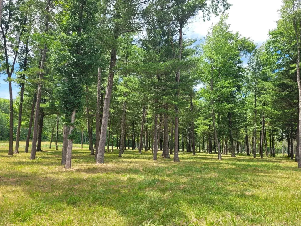 0 W M-55 South Branch Township MI 49689