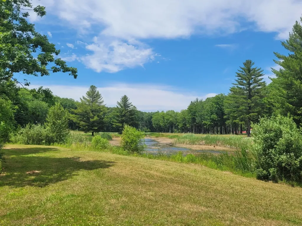 0 W M-55 South Branch Township MI 49689