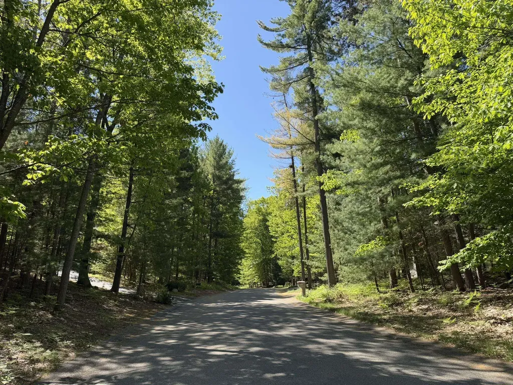 4478 Ground Pine Trail Acme Township MI 49686