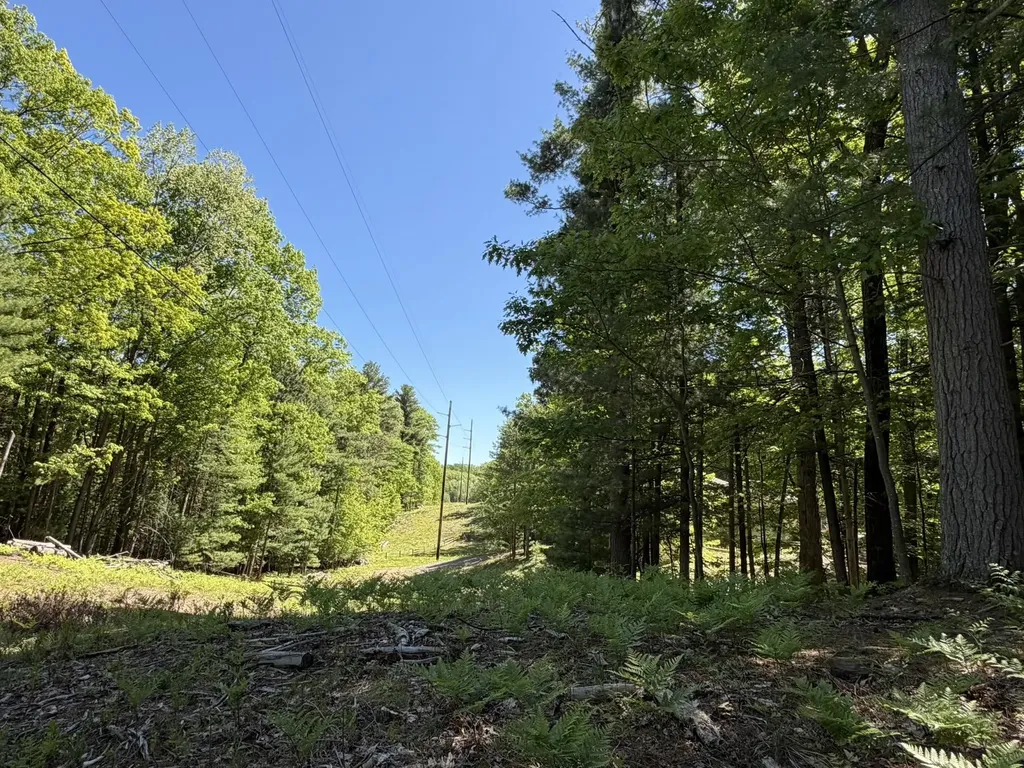 4478 Ground Pine Trail Acme Township MI 49686