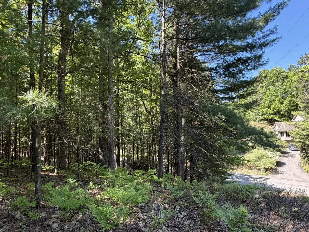 4478 Ground Pine Trail Acme Township MI 49686