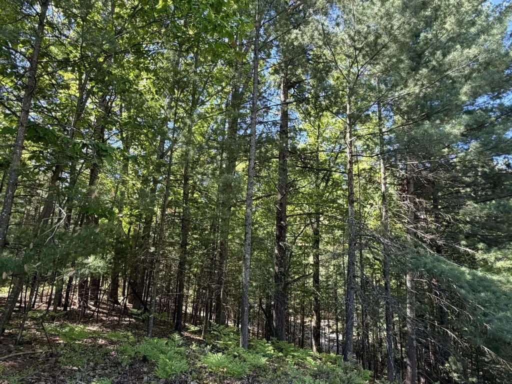 4478 Ground Pine Trail Acme Township MI 49686