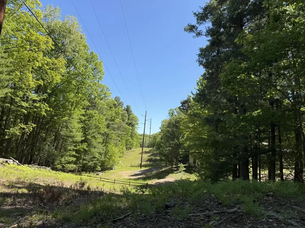 4478 Ground Pine Trail Acme Township MI 49686