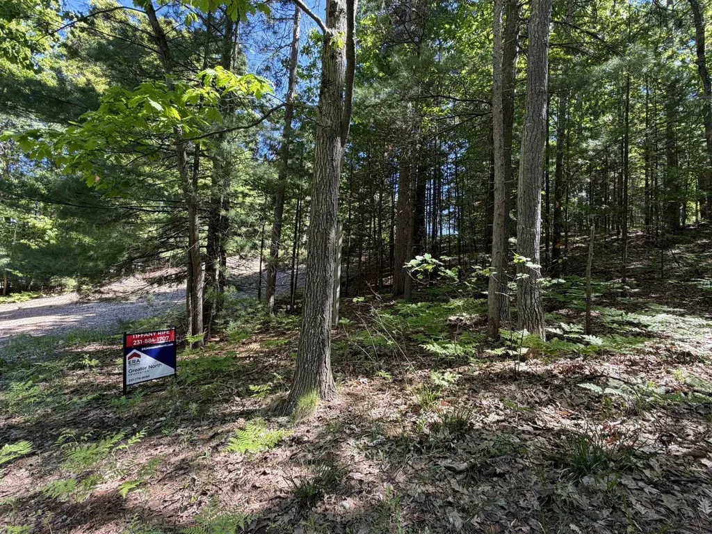 4478 Ground Pine Trail Acme Township MI 49686