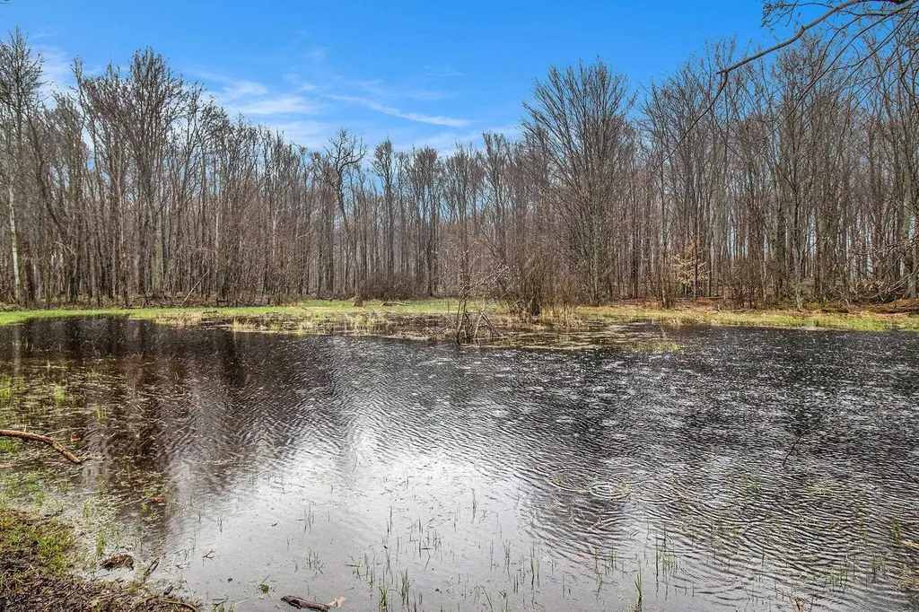 8110 Ames Road Bear Lake Township MI 49614