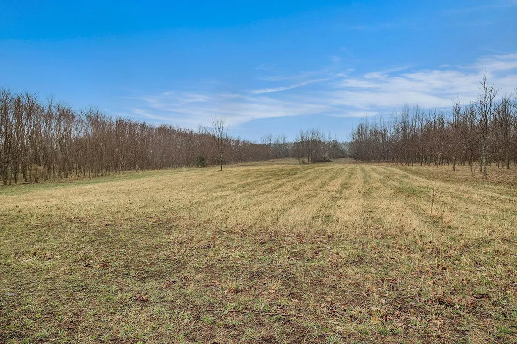 8110 Ames Road Bear Lake Township MI 49614