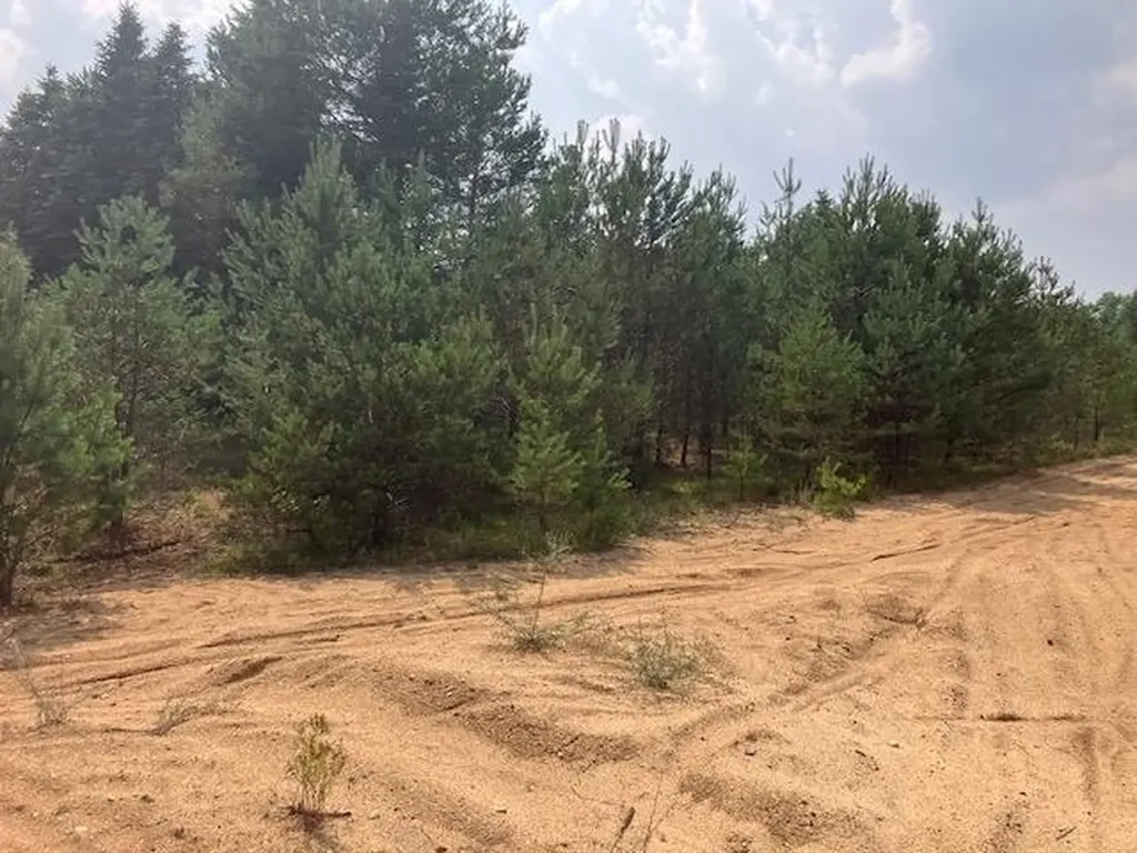 F2 N 2 1/2 Road Hanover Township MI 49620