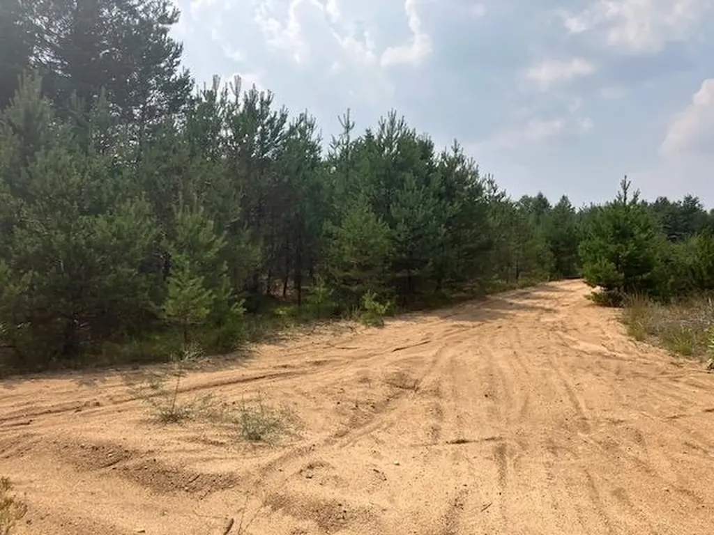 F2 N 2 1/2 Road Hanover Township MI 49620