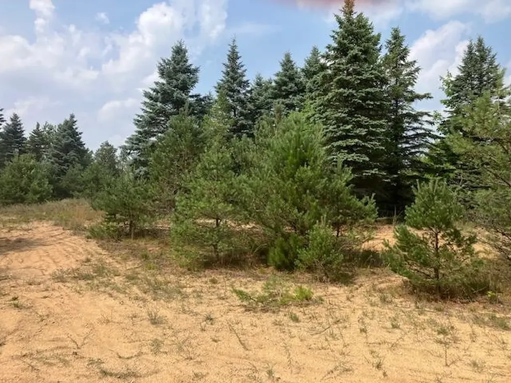 F2 N 2 1/2 Road Hanover Township MI 49620