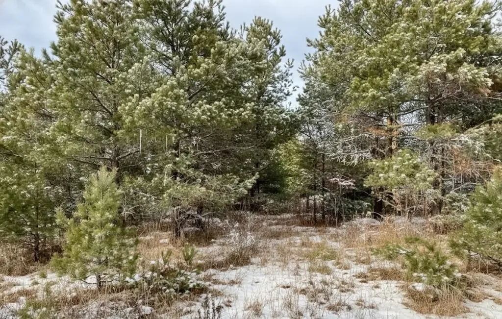 F2 N 2 1/2 Road Hanover Township MI 49620