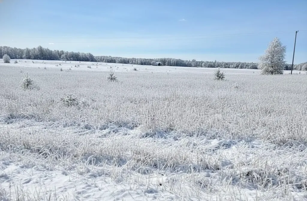 G Walton Road Paradise Township MI 49649