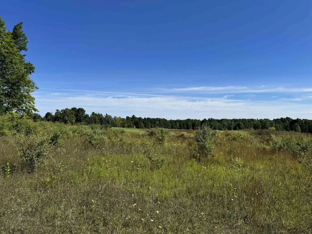 4855 Prestwick Court Acme Township MI 49690