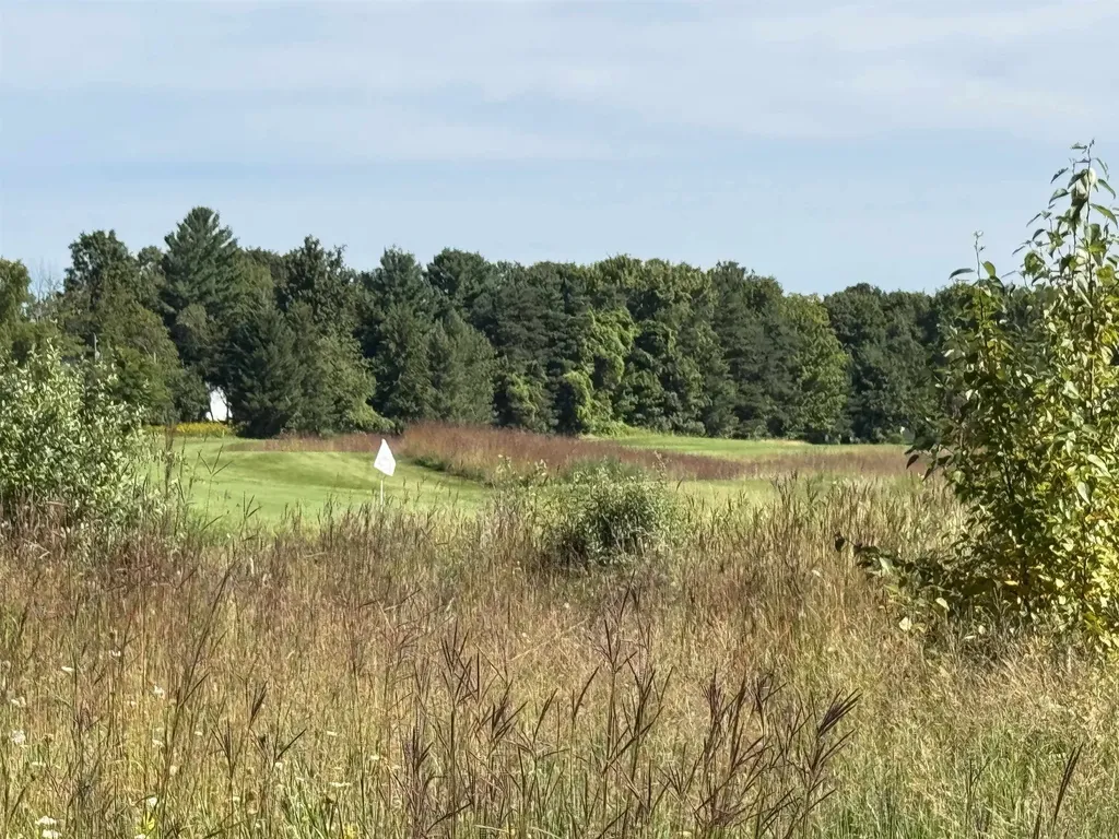 4855 Prestwick Court Acme Township MI 49690