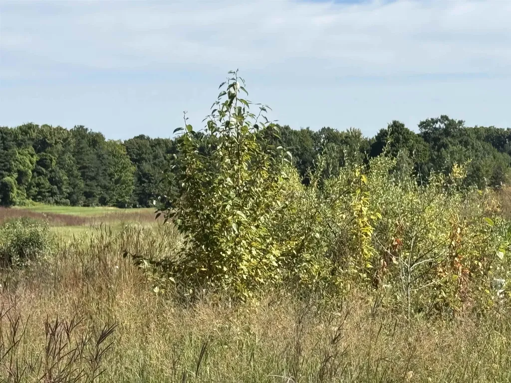 4855 Prestwick Court Acme Township MI 49690