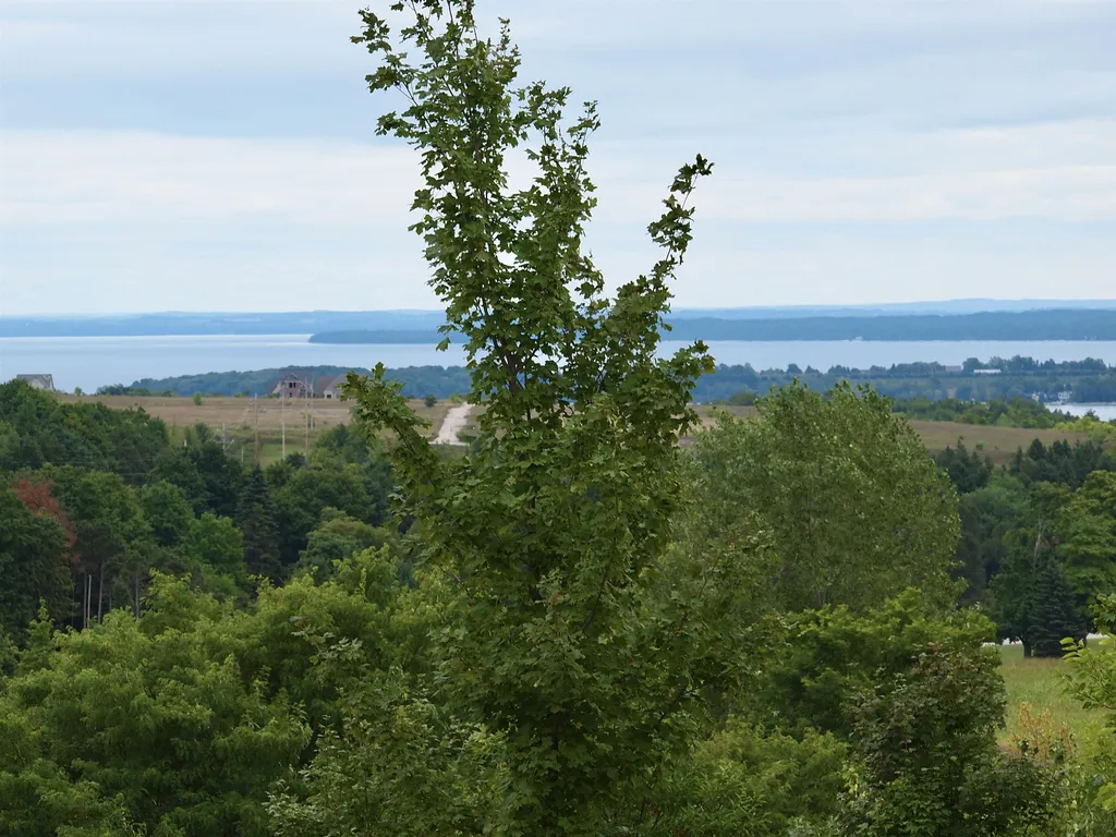 9224 E Duck Lake Road Suttons Bay Township MI 49682