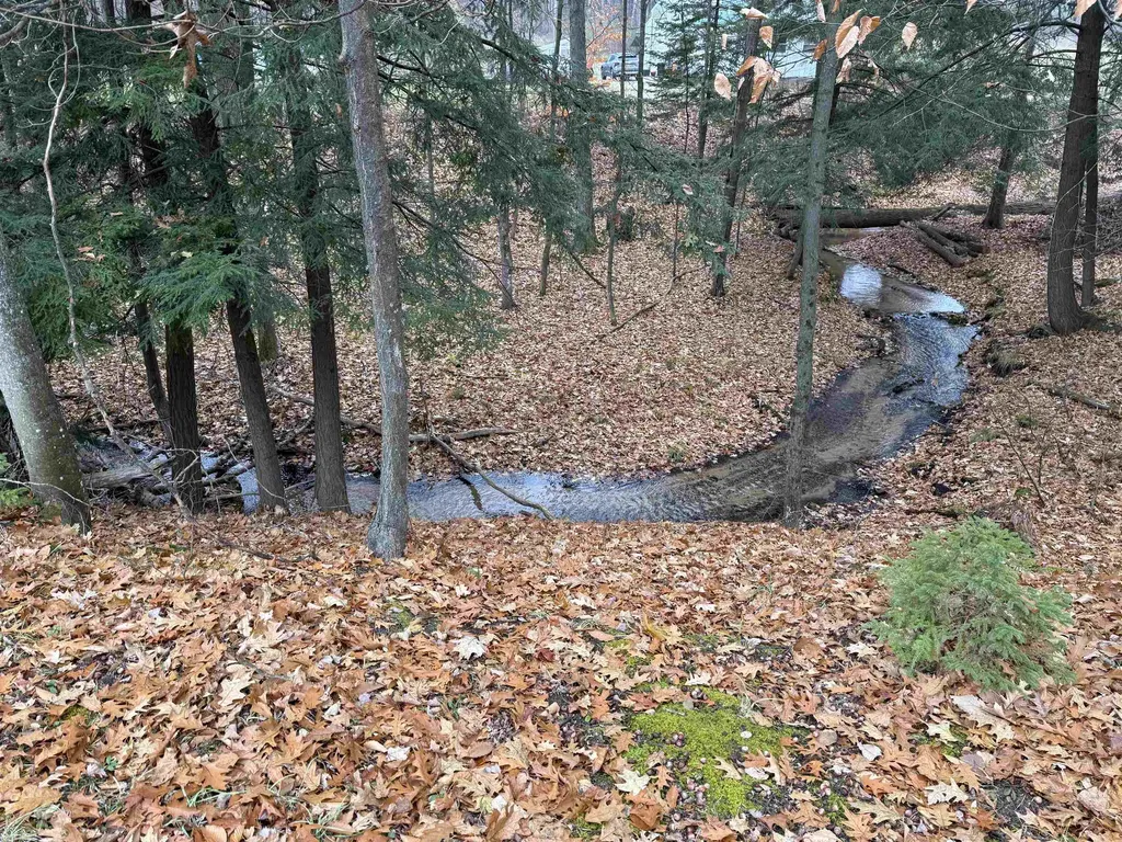 9544 W 34 Road Slagle Township MI 49638