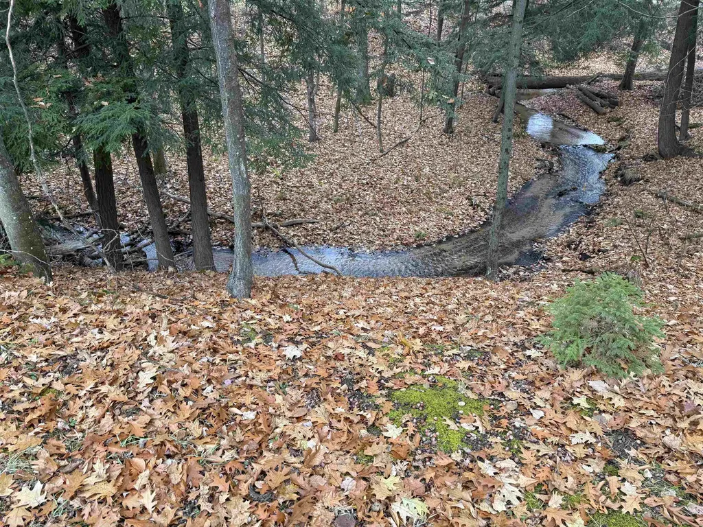 9544 W 34 Road Slagle Township MI 49638