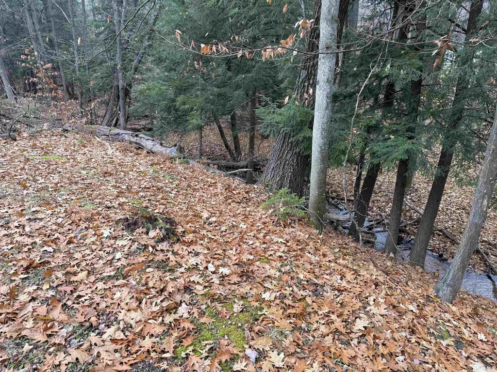 9544 W 34 Road Slagle Township MI 49638