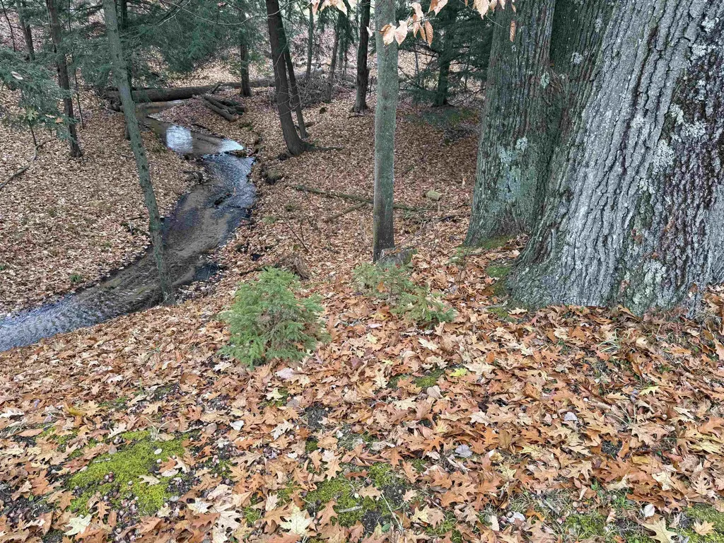9544 W 34 Road Slagle Township MI 49638