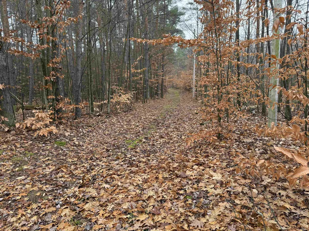 9544 W 34 Road Slagle Township MI 49638