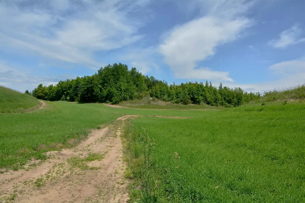 E Rudy Drive Leelanau Township MI 49670