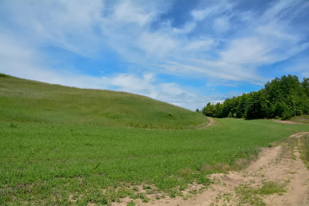 E Rudy Drive Leelanau Township MI 49670