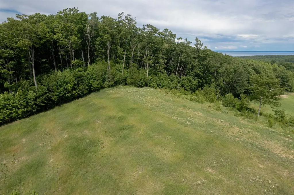 E Rudy Drive Leelanau Township MI 49670