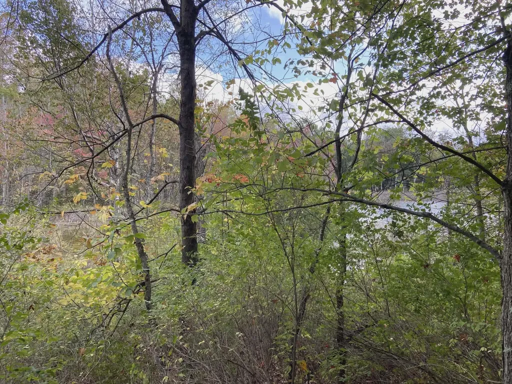 20047 Davis Lake Road Almira Township MI 49684