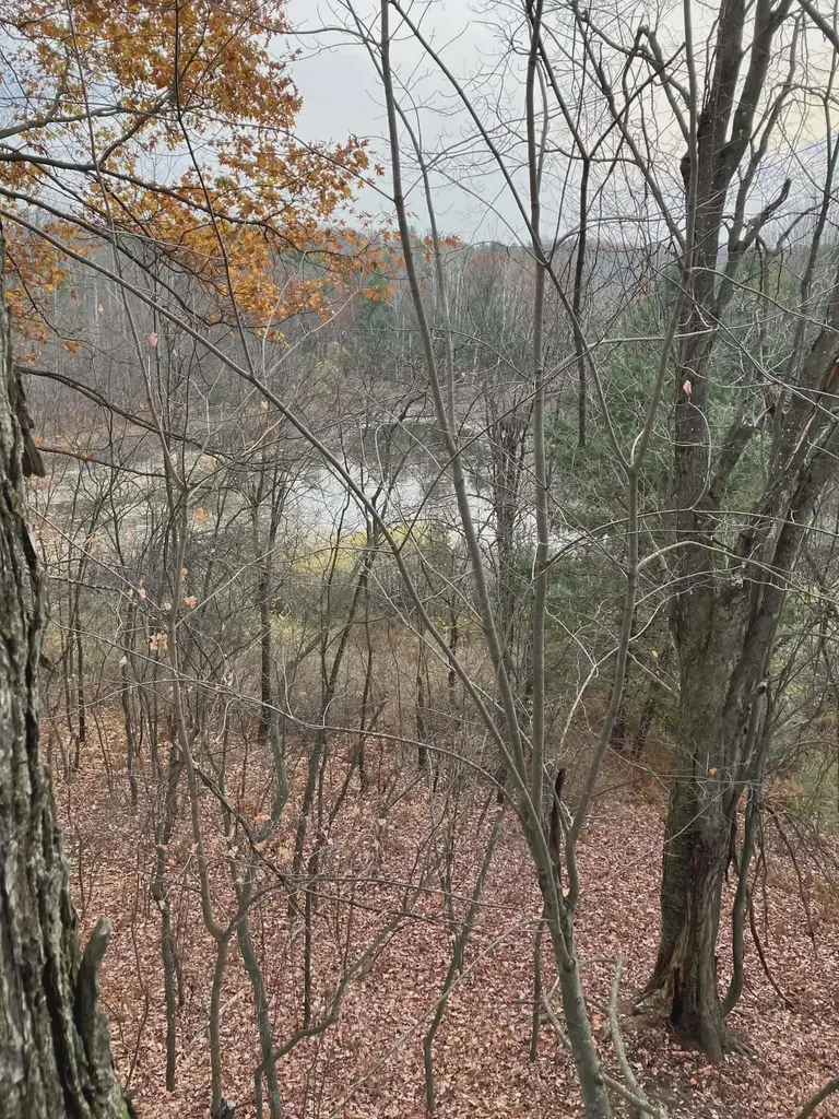 20047 Davis Lake Road Almira Township MI 49684
