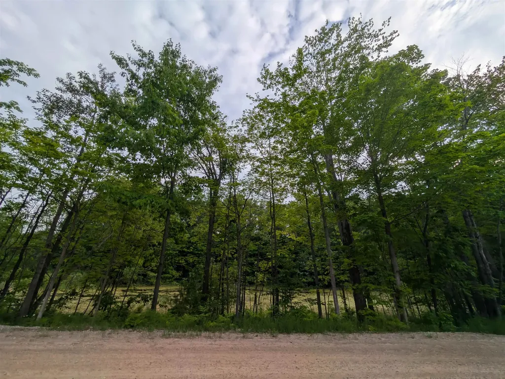 20047 Davis Lake Road Almira Township MI 49684