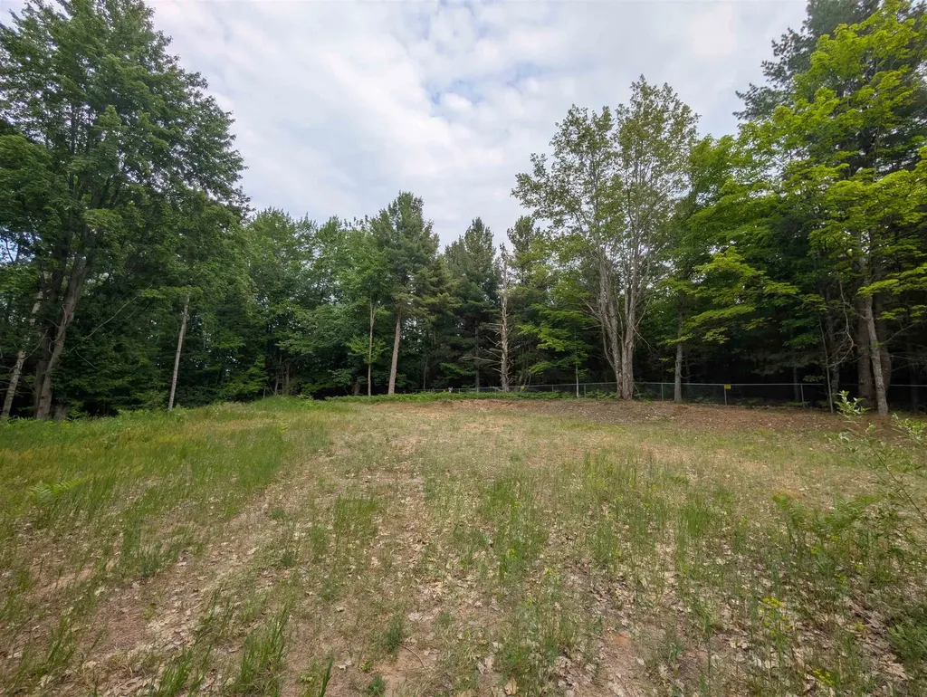 20047 Davis Lake Road Almira Township MI 49684