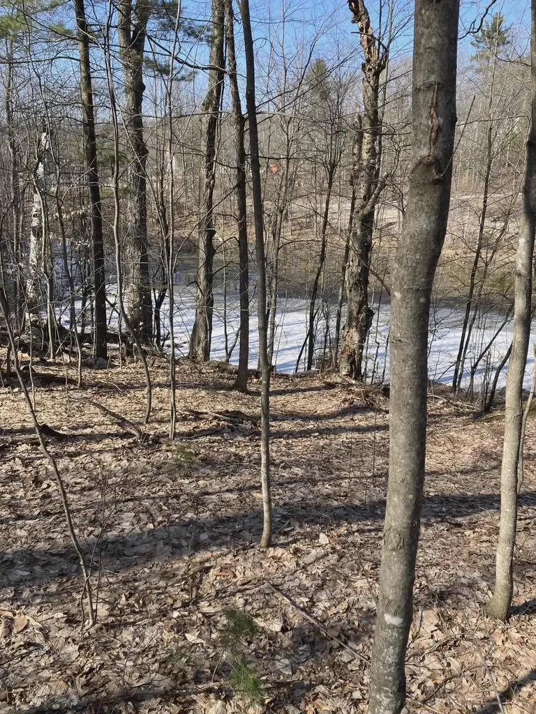 20047 Davis Lake Road Almira Township MI 49684