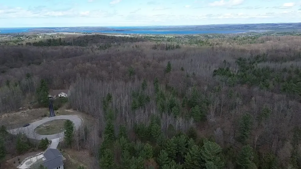 5479 Glendenning Trail Whitewater Township MI 49690