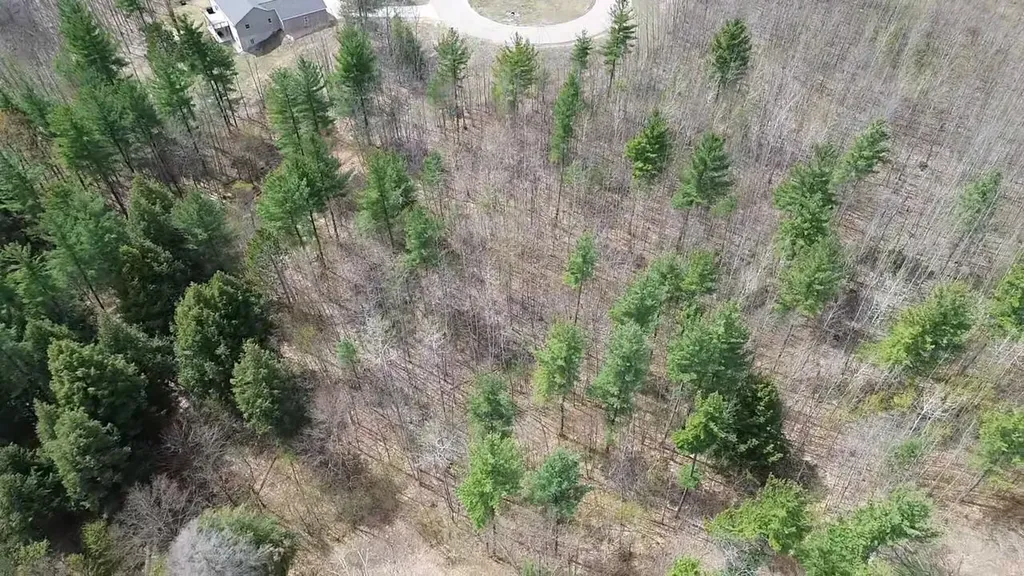 5479 Glendenning Trail Whitewater Township MI 49690
