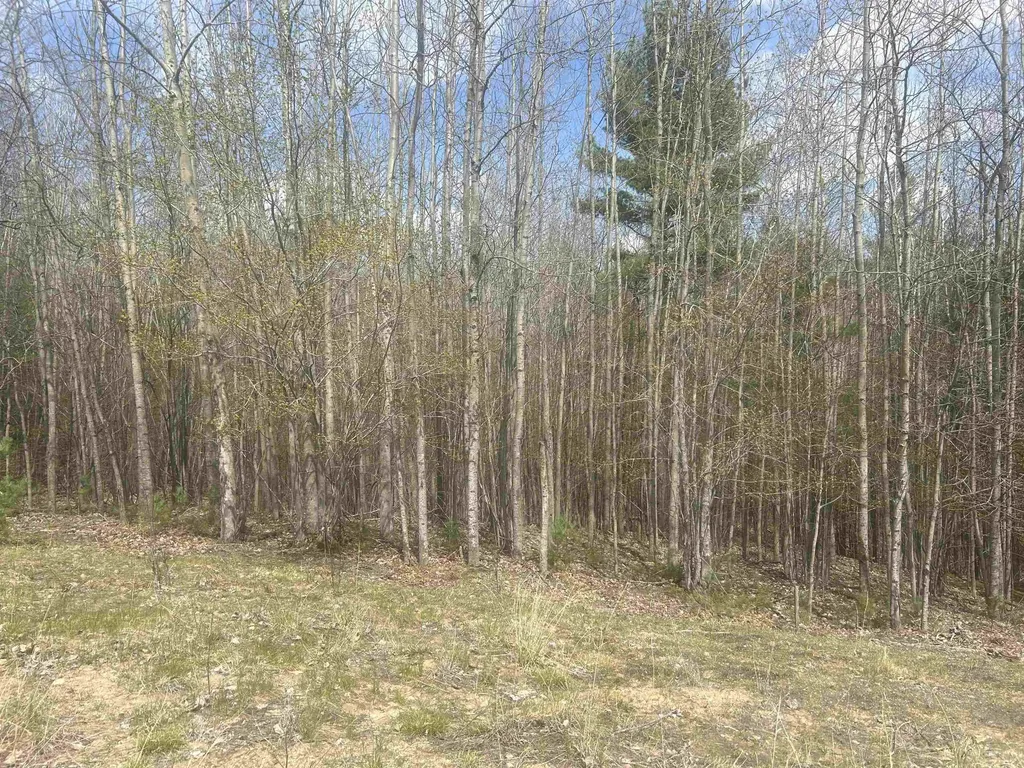5479 Glendenning Trail Whitewater Township MI 49690