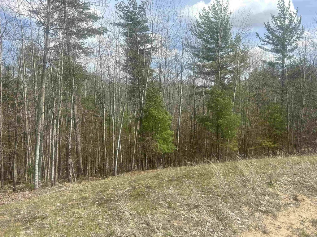 5479 Glendenning Trail Whitewater Township MI 49690
