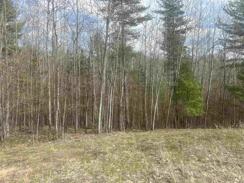 5479 Glendenning Trail Whitewater Township MI 49690