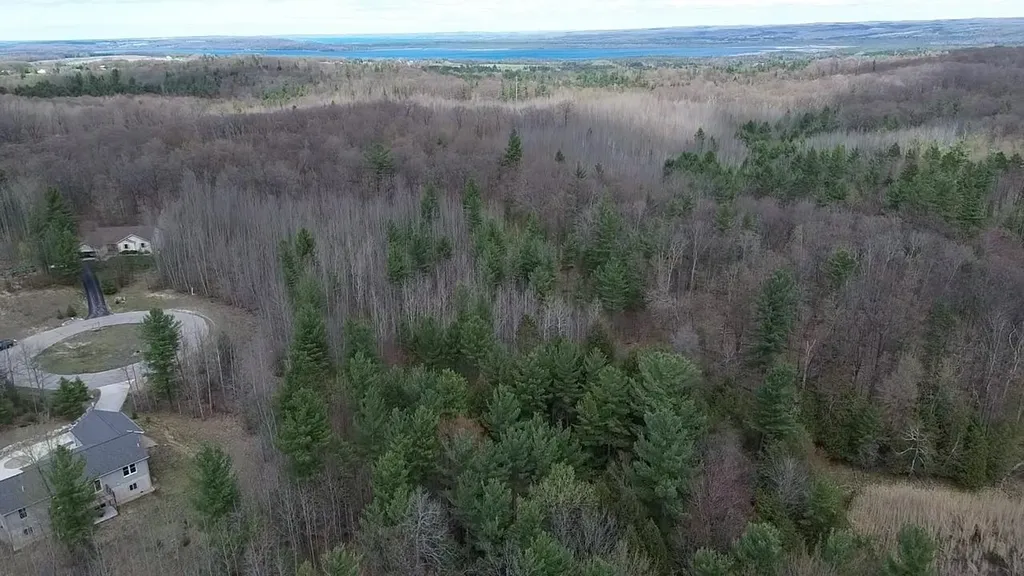 5479 Glendenning Trail Whitewater Township MI 49690