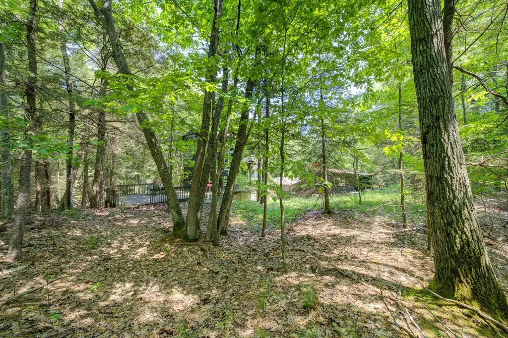 3312 Old State Road Lake Township MI 49635