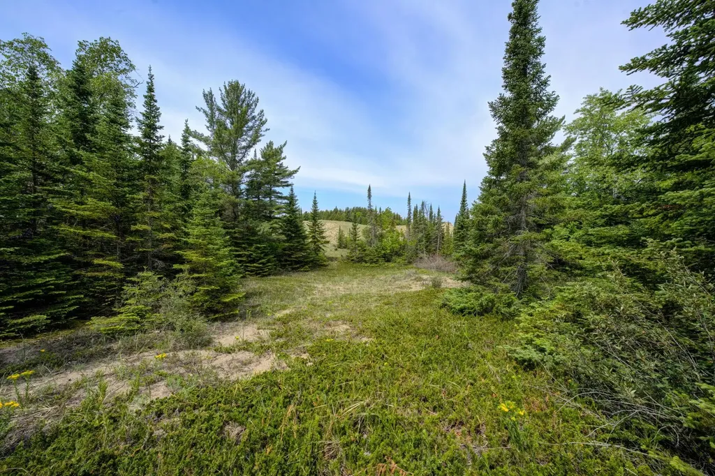 3312 Old State Road Lake Township MI 49635