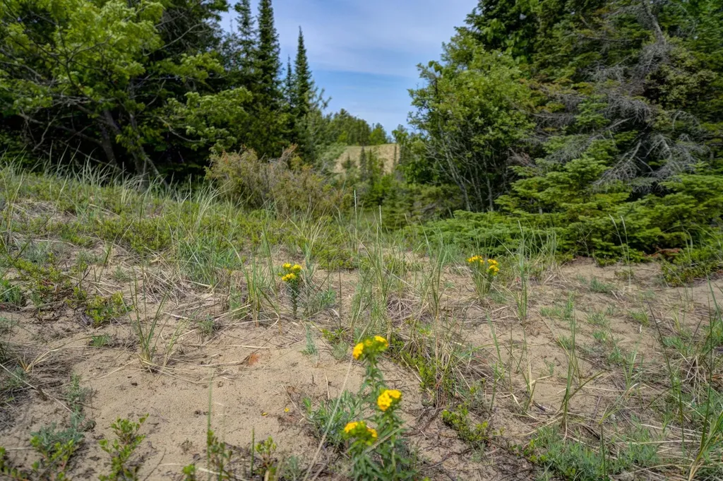 3312 Old State Road Lake Township MI 49635