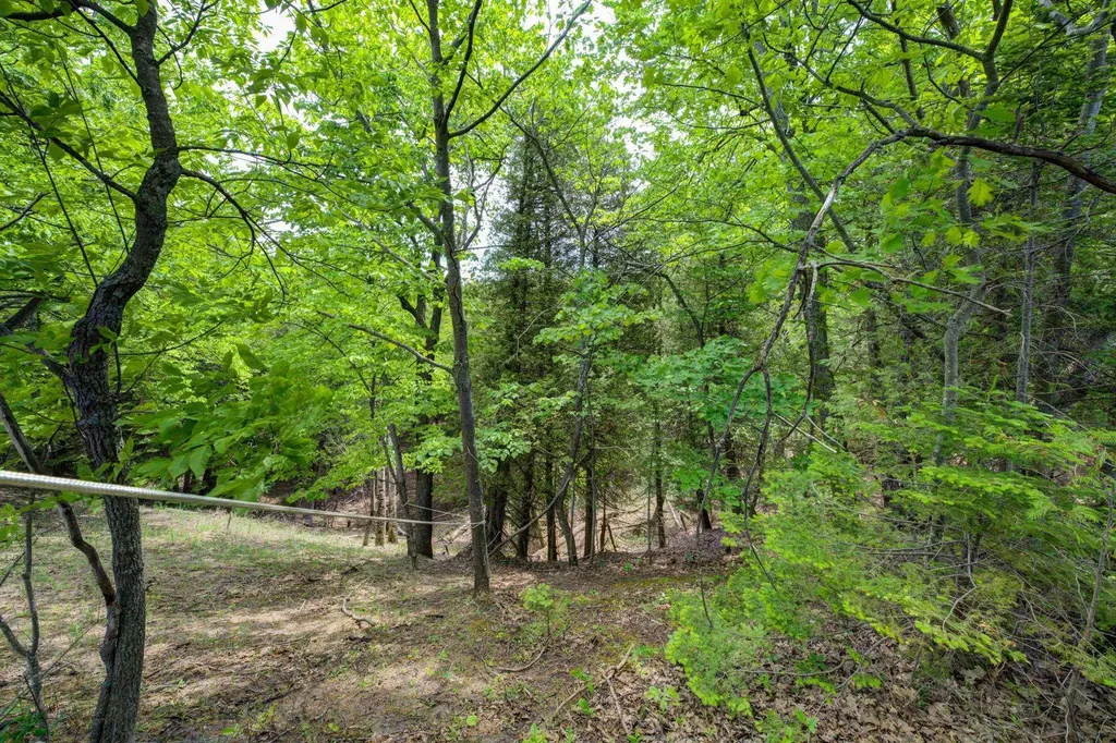 3312 Old State Road Lake Township MI 49635