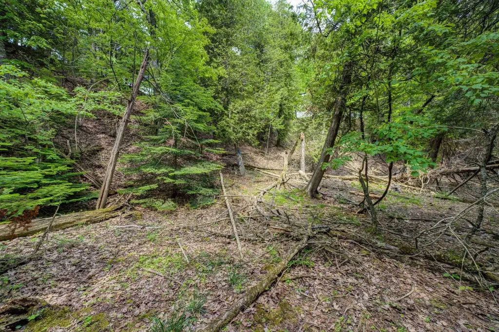 3312 Old State Road Lake Township MI 49635