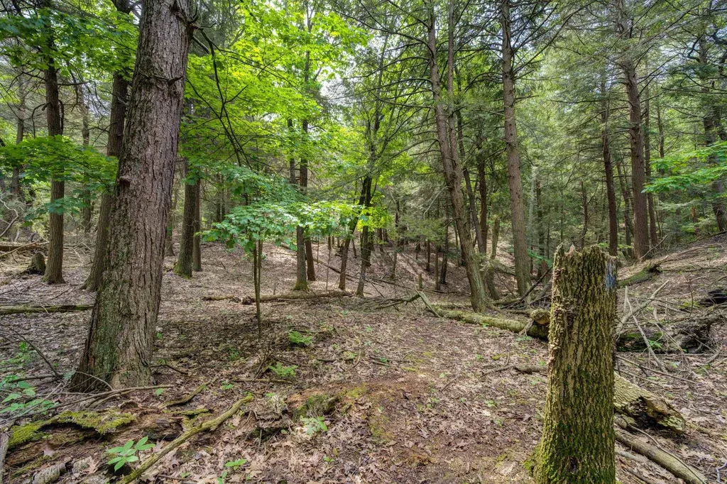 3312 Old State Road Lake Township MI 49635